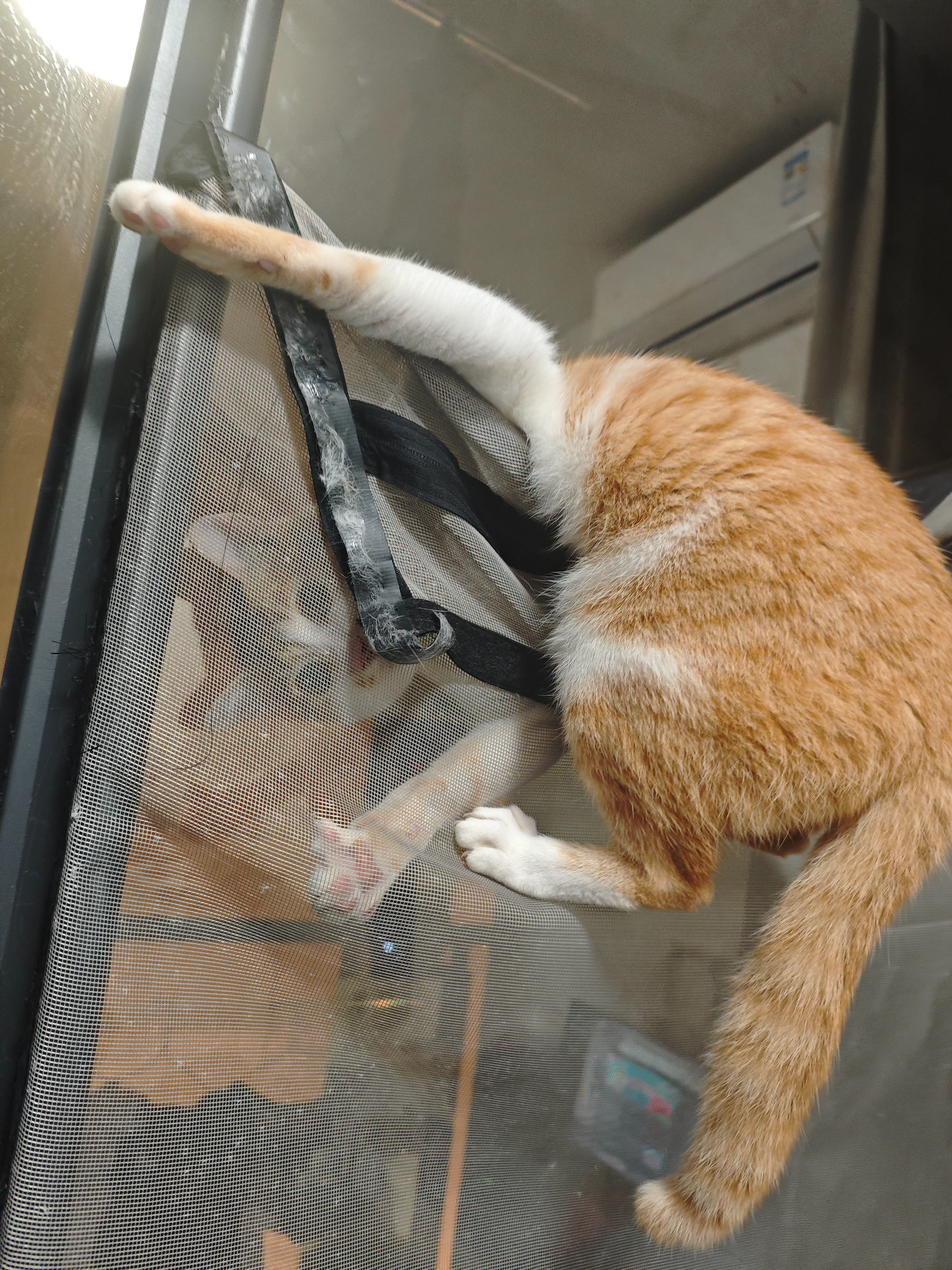 2025-04-07T11:02:35.png
